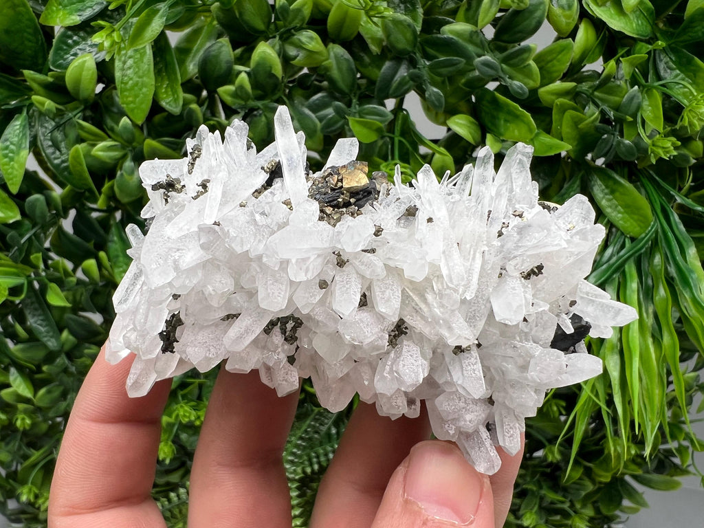 Wonderful Sphalerite Chalcopyrite on Green Quartz whit Hematite feom 9 th September mine,Bulgaria,natural,collection mineral specimen,gift