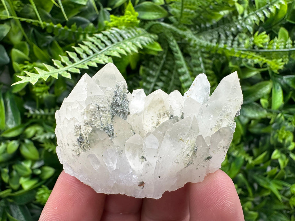Limonite Quartz with Chlorite Inclusion: Djurcovo Laki Bulgaria Crystal