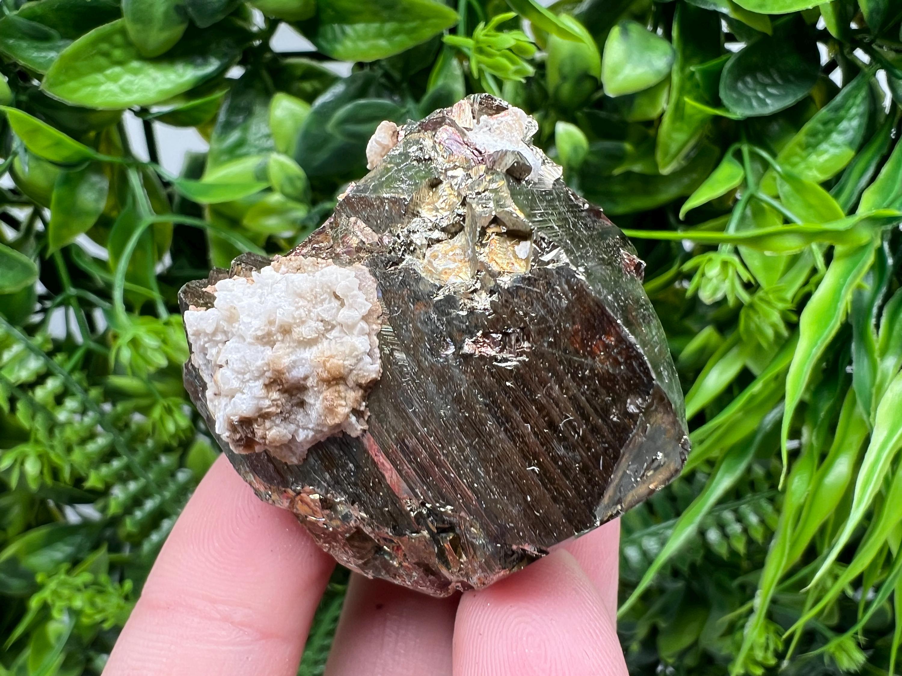 Rainbow Pyrite with Calcite, Natural Mineral Souvenir, Borieva Bulgaria