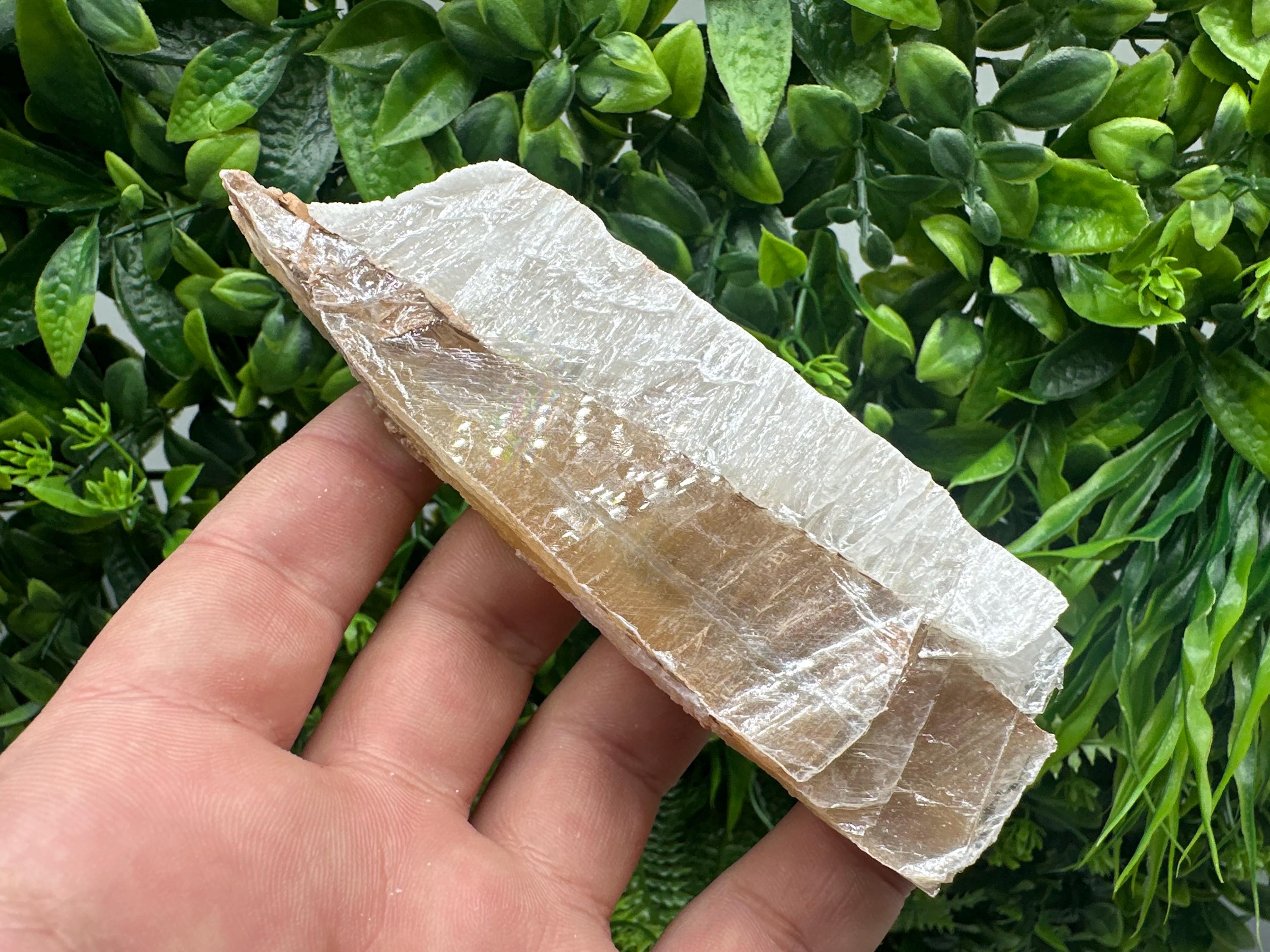 Golden Phantom Selenite Slab: Raw Utah Fishtail Selenite Wand