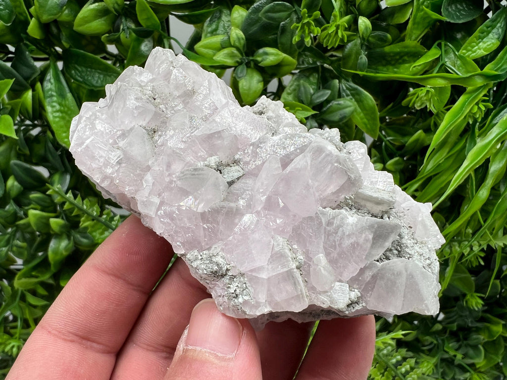 UV Reactive Mangano Calcite Crystal: Androvo Mine, Bulgaria
