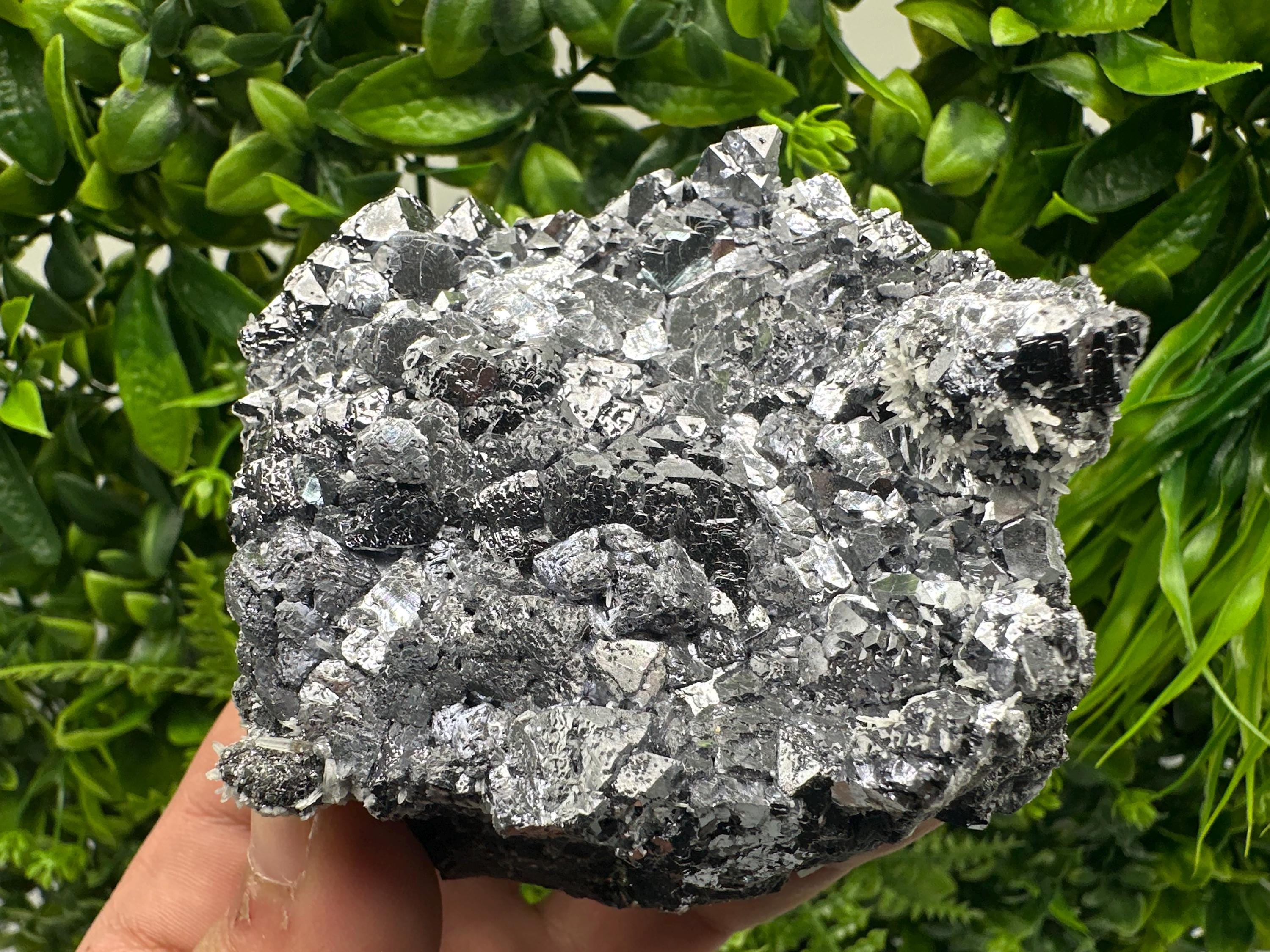 Galena with Quartz Mineral Specimen, Krushev dol Mine, Bulgaria