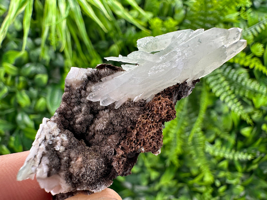 Quartz with Chlorite on Rhodochrosite and Siderite Mineral Specimen