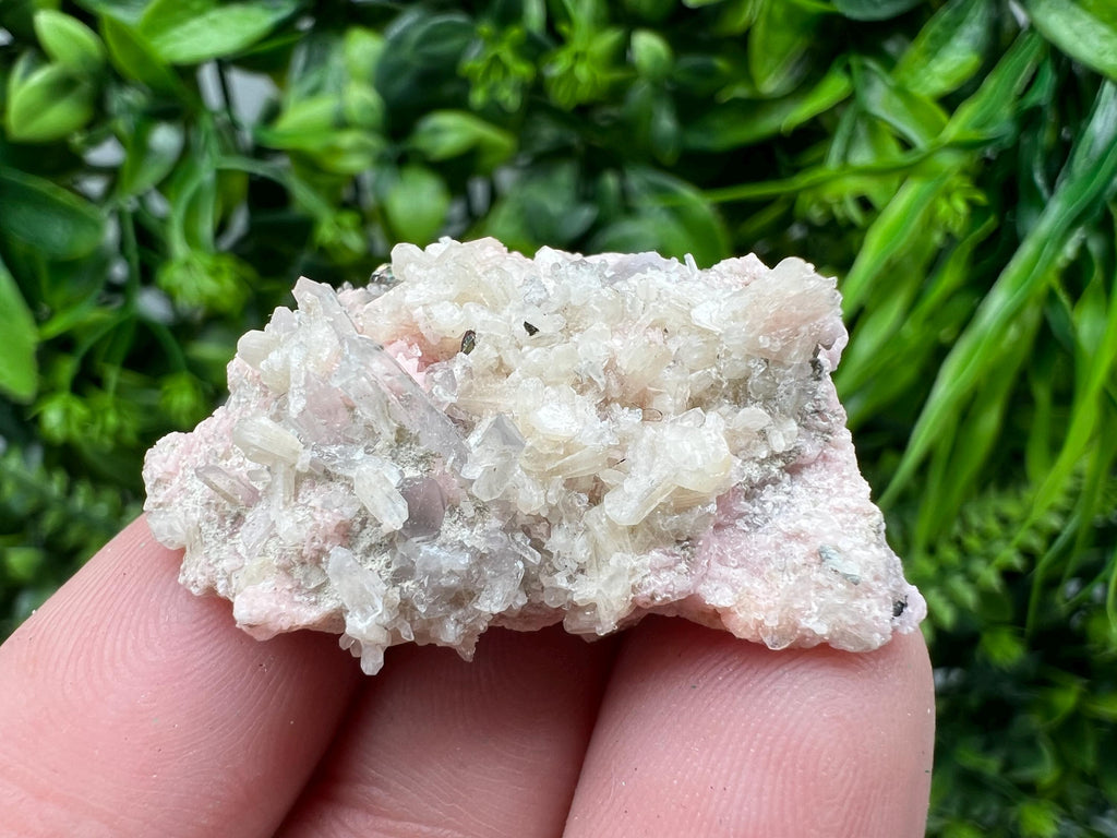 Pink Rhodochrosite Crystal: Starnica Mine, Bulgaria