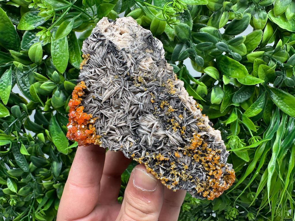 Red Vanadinite Crystal Cluster on Barite with Goethite, Morocco