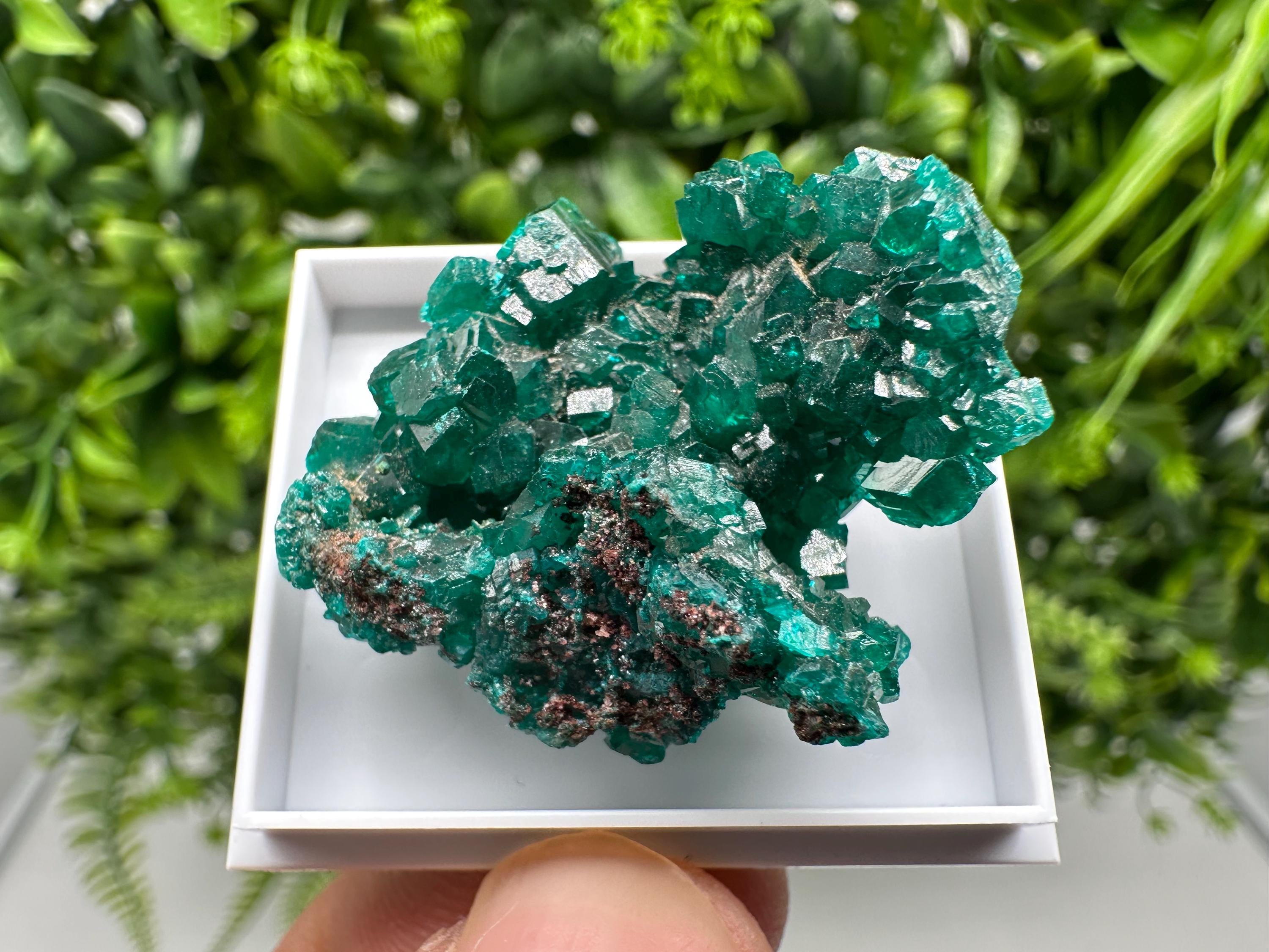 Stunning Green Dioptase from Sanda Hills,Mindouli,Pool Department,Mindouli District,Congo,green Dioptase,Dioptas Crystal,Dioptase collecting
