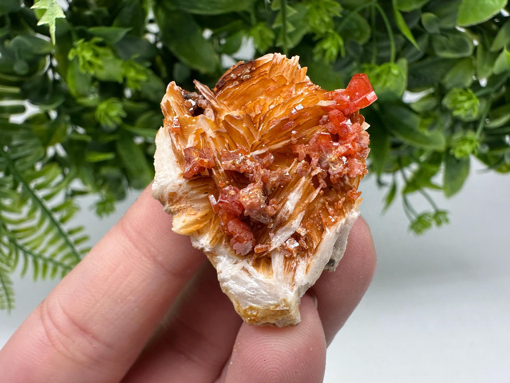 Red Vanadinite on Barite Crystal Specimen, Moroccan Mineral Cluster