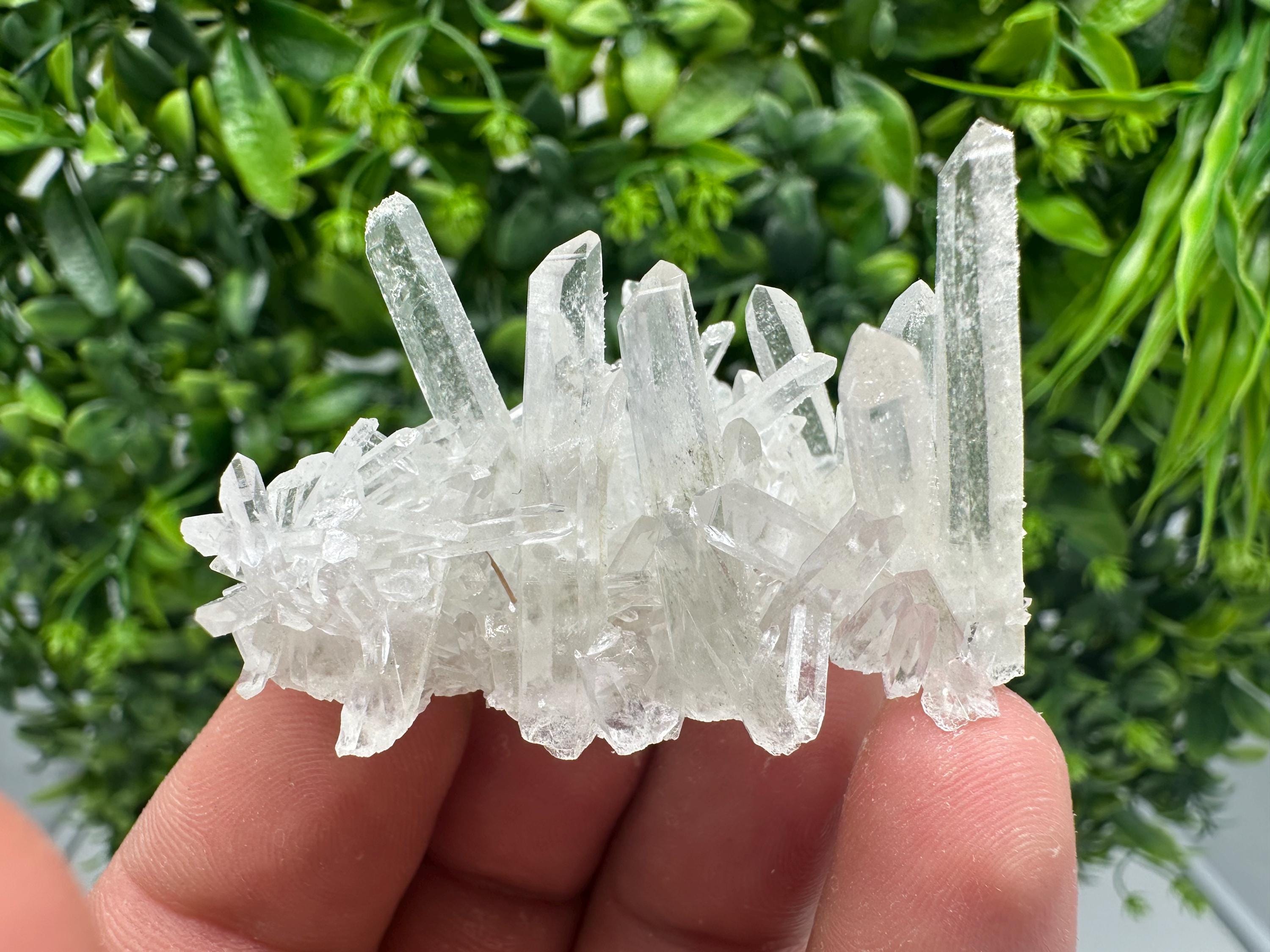 Transparent Quartz on Chlorite Matrix, Borieva Mine, Bulgaria