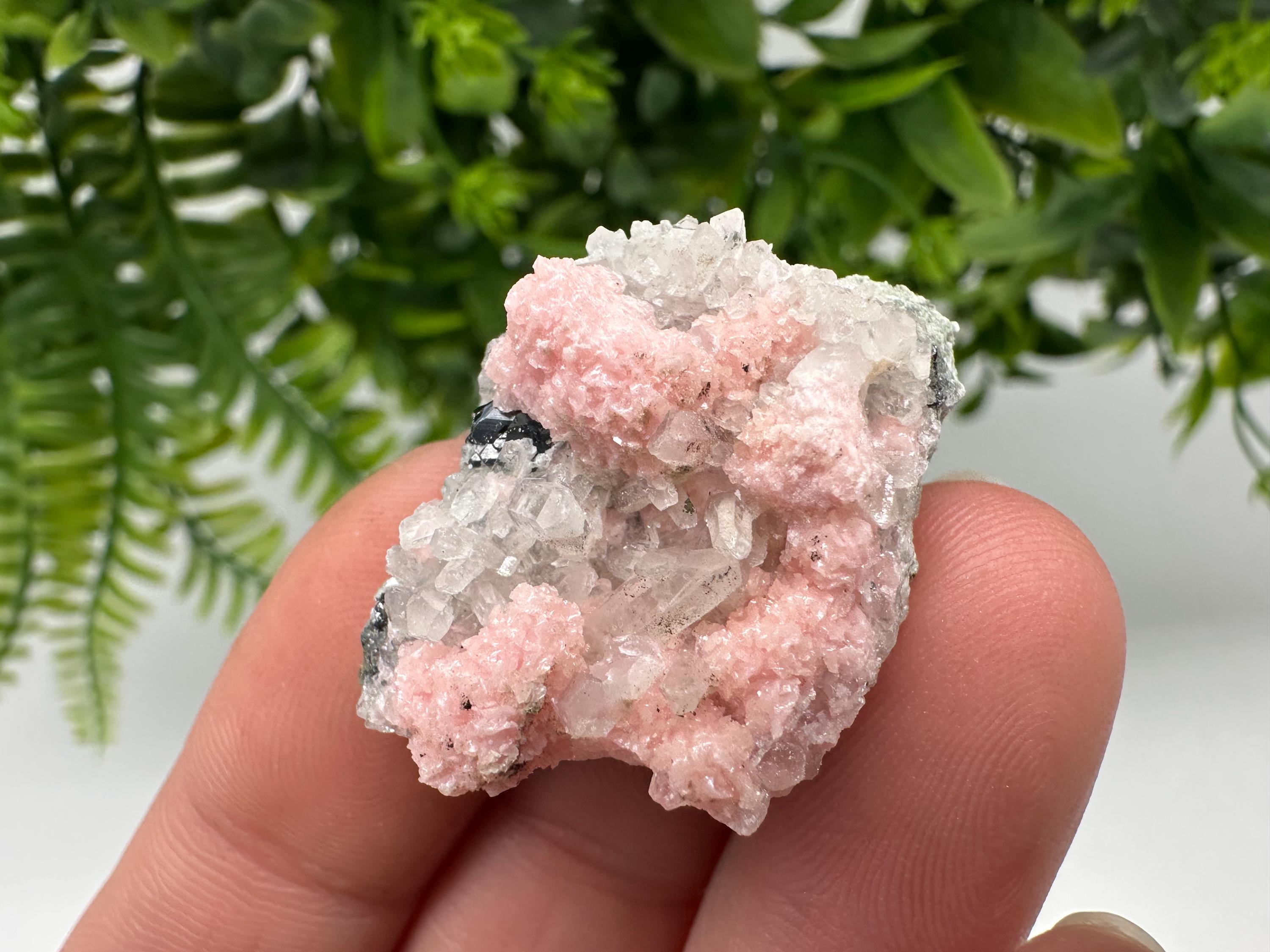Pink Rhodochrosite Crystal: Starnica Mine, Bulgaria, Home Decor