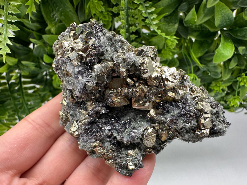 Pyrite on Green Quartz: Rare Mineral Specimen, Borieva Mine