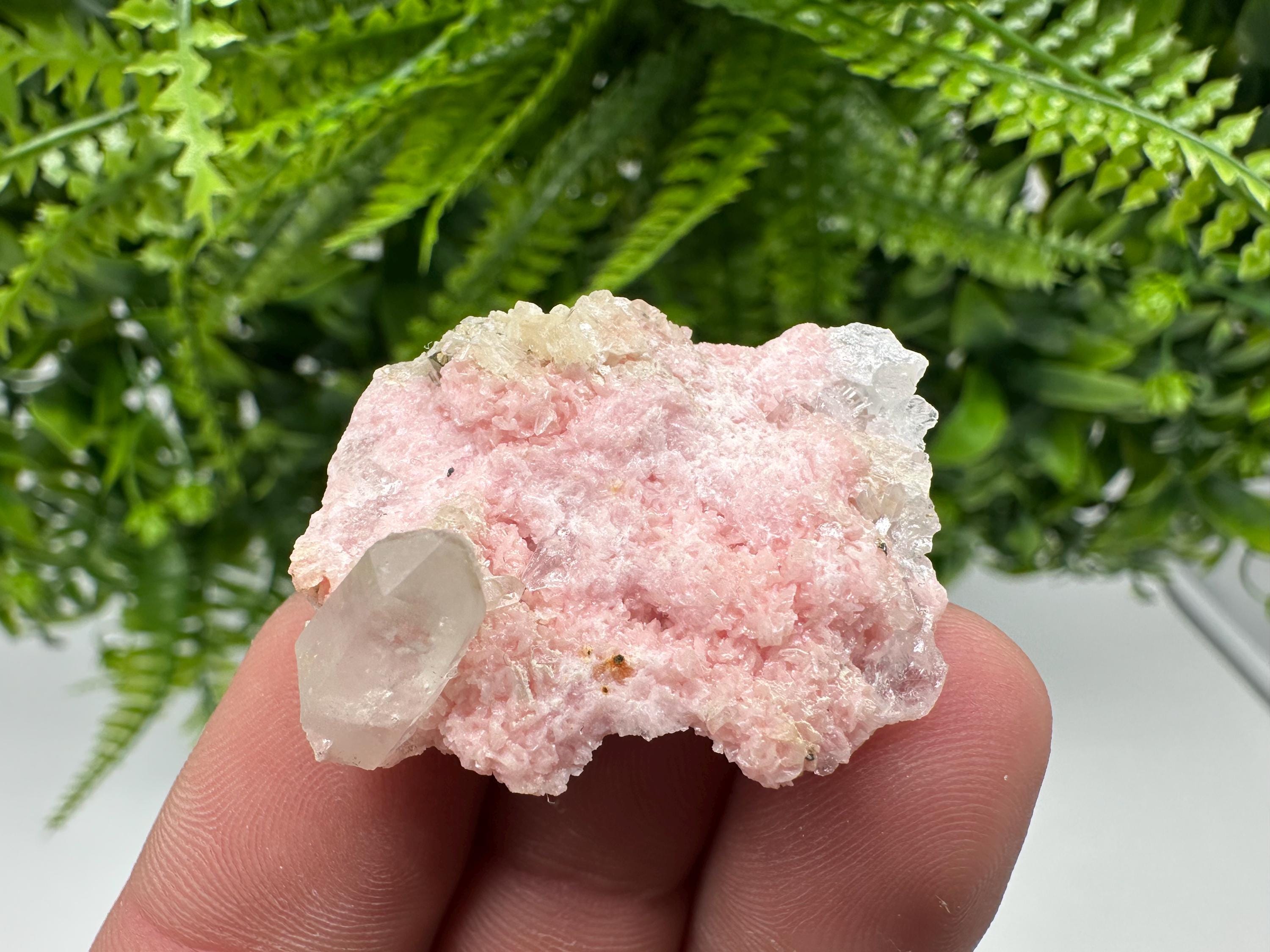 Rhodochrosite on Quartz: Pink Mineral Specimen, Starnica Mine