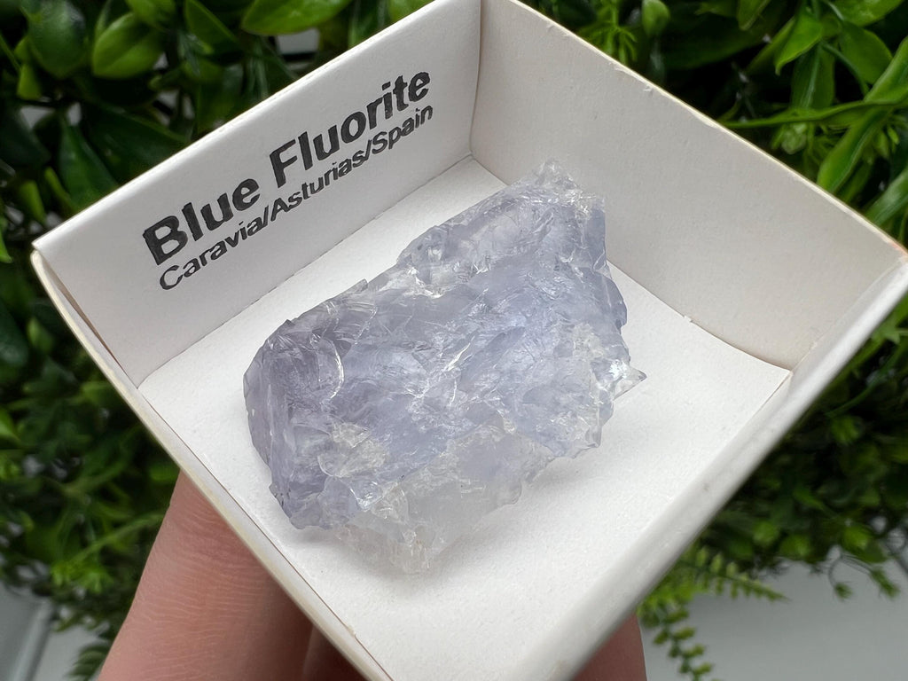 Blue Fluorite Mineral Specimen: Spain Collection (3.5/2.5 cm)