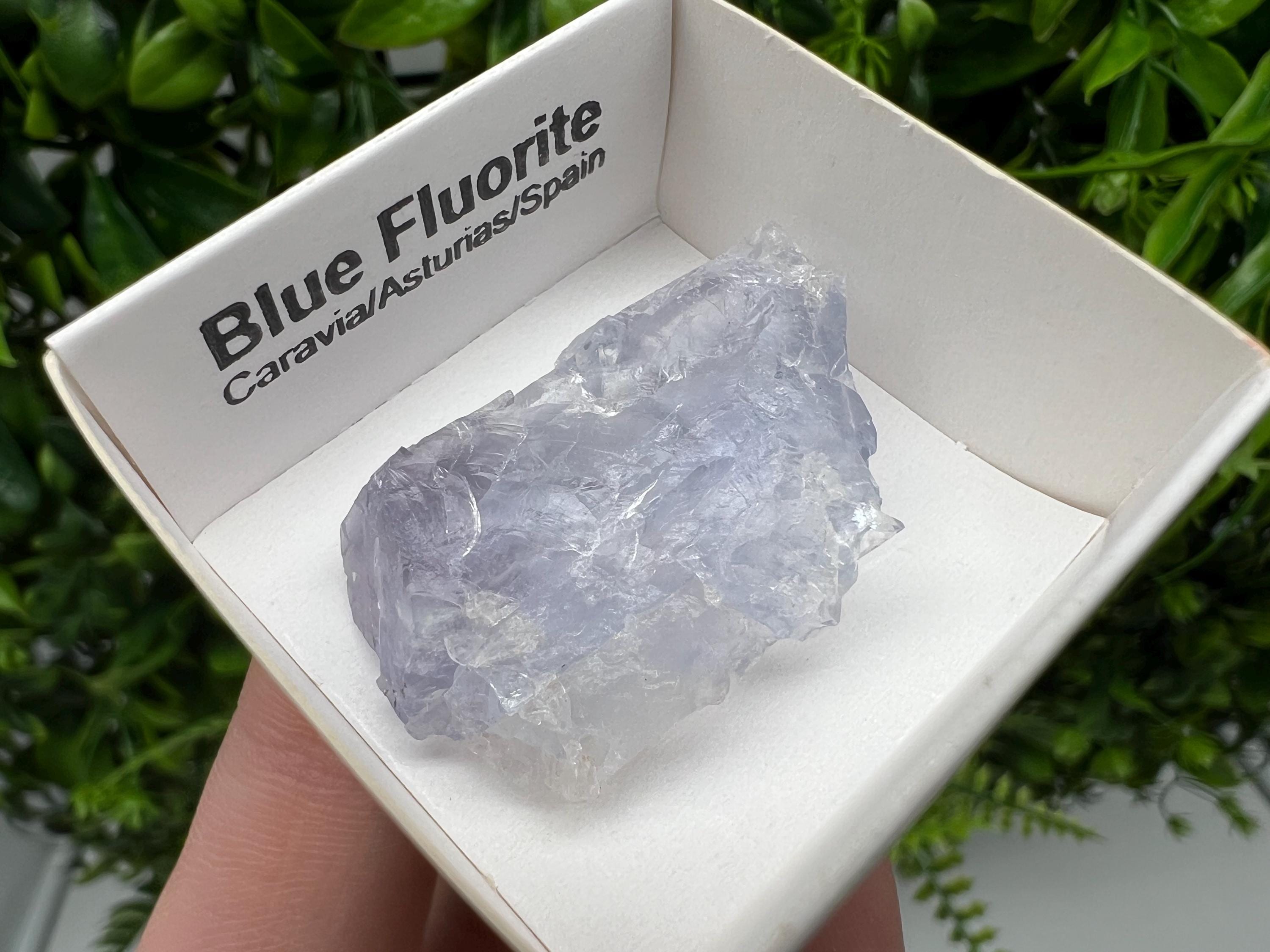 Blue Fluorite Mineral Specimen: Spain Collection (3.5/2.5 cm)