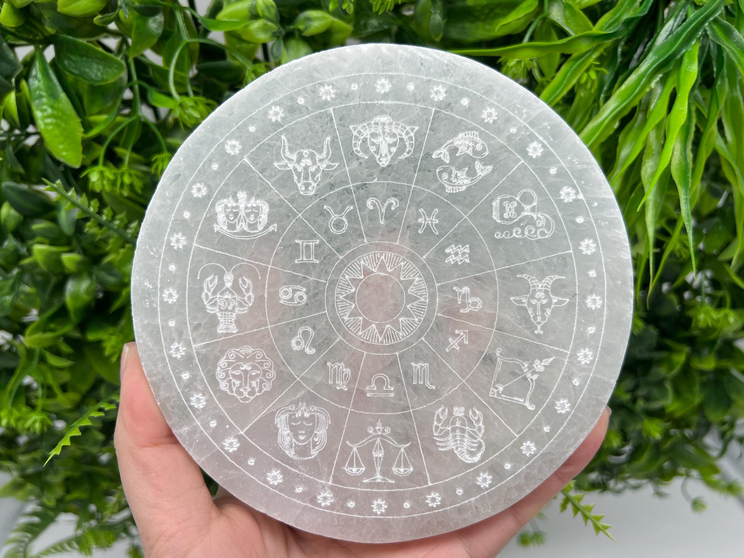 Engraved Selenite Zodiac Disc: Energy Crystal Healing Decor (14cm)