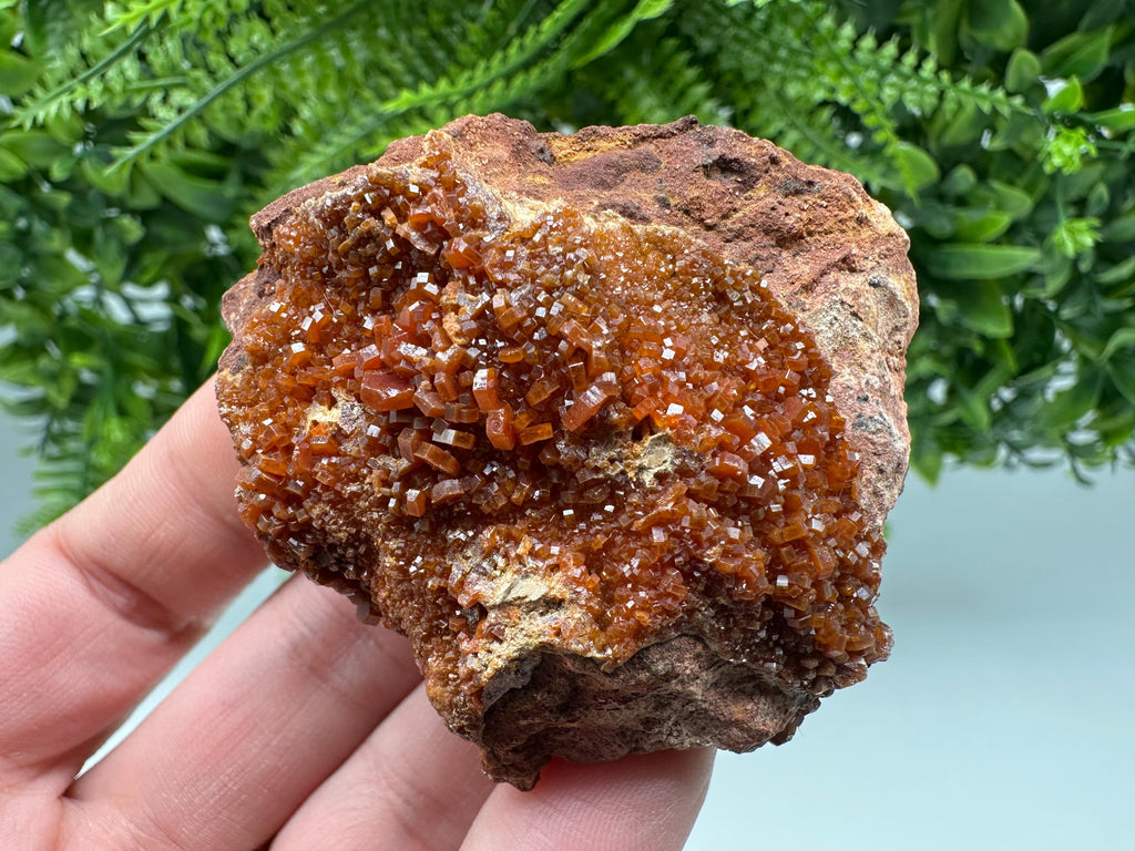 Red Vanadinite on Matrix from Marocco,crystal minerals Speciment cluster Vanadinite crystal Vanadinite Geology Vanadinite cluster minerals
