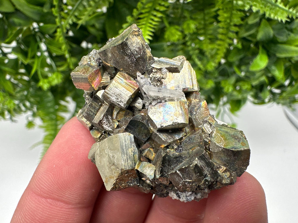 Rare Rainbow Pyrite Cluster: Borieva Mine, Bulgaria