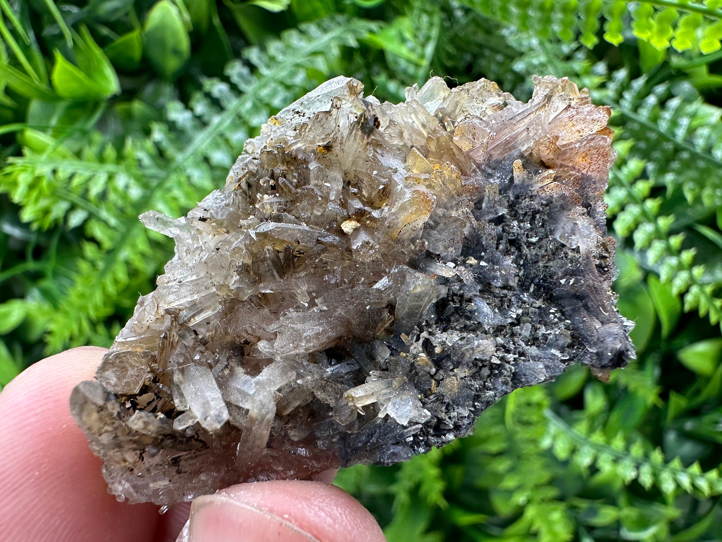 Limonite Coated Quartz Crystal, Natural Mineral Specimen