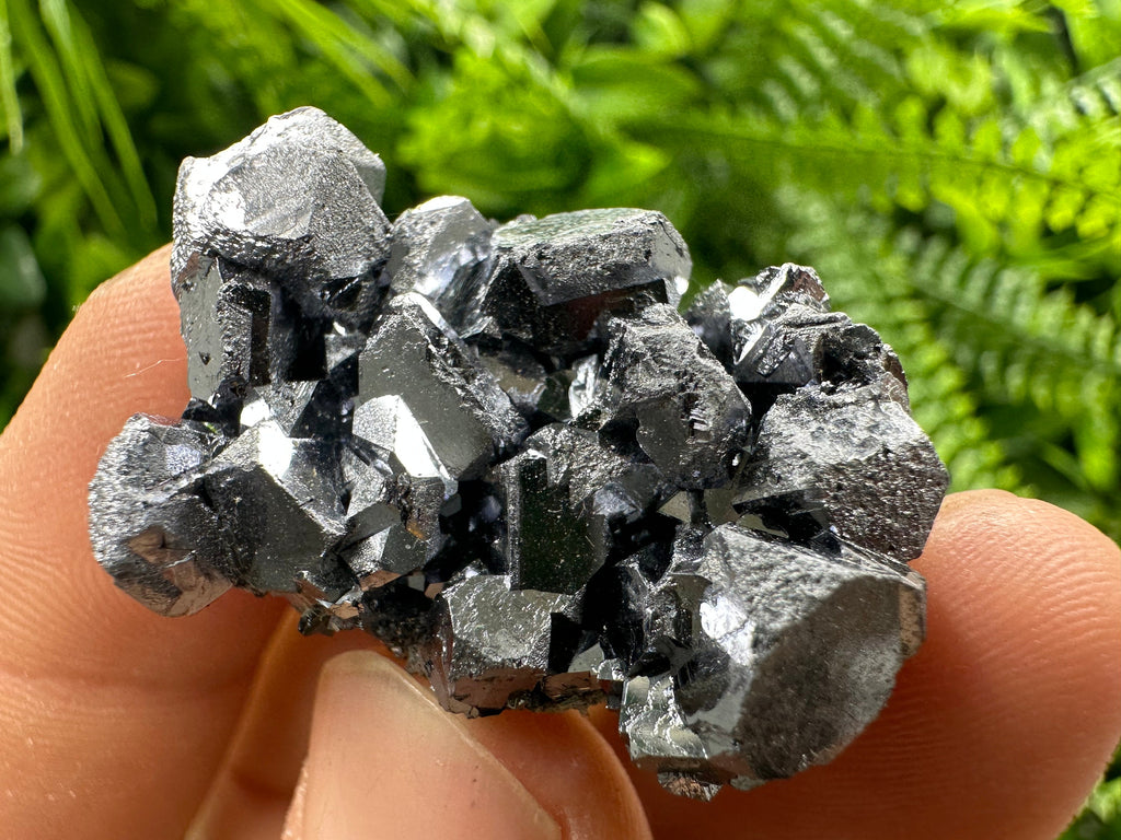 Shiny Galena Cluster: Borieva Mine, Madan, Bulgaria