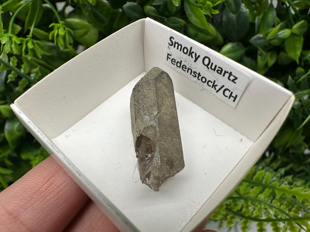 Rare Fedenstock Smoky Quartz Point, Swiss Mineral Specimen (35mm)