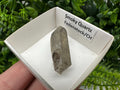 Rare Fedenstock Smoky Quartz Point, Swiss Mineral Specimen (35mm)