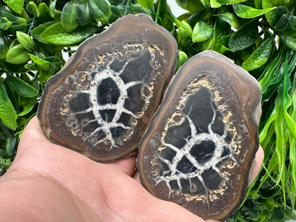 Septarian Nodule Geode Pair: Dragonstone Aragonite Limestone