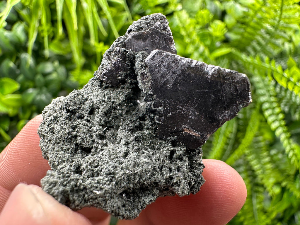 Sphalerite with Chlorite, Borieva Mine, Bulgaria – Natural Mineral Specimen
