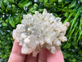 Calcite on Green Quartz: Djurcovo Mine, Bulgaria Healing Crystal