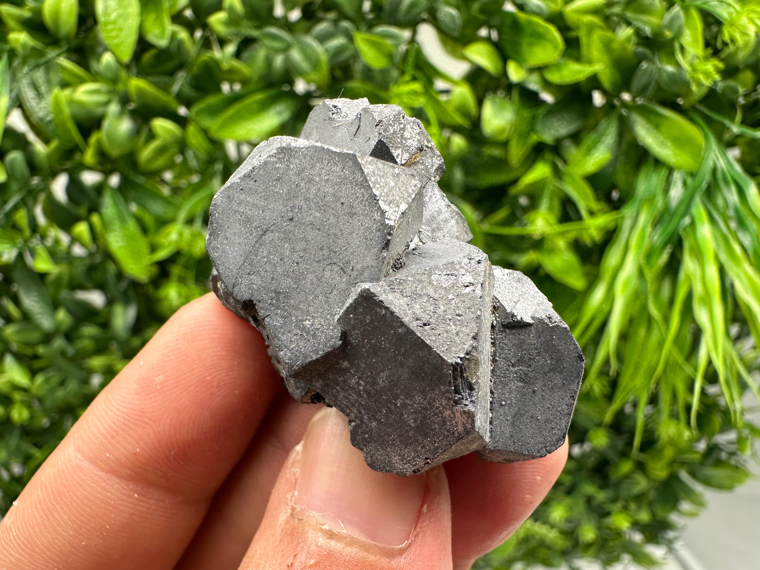 Shiny Galena Cluster, Borieva Mine, Madan, Bulgaria