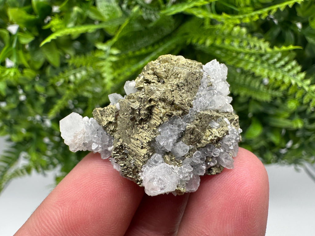 Chalcopyrite on Quartz Specimen, Krushev dol Mine, Bulgaria