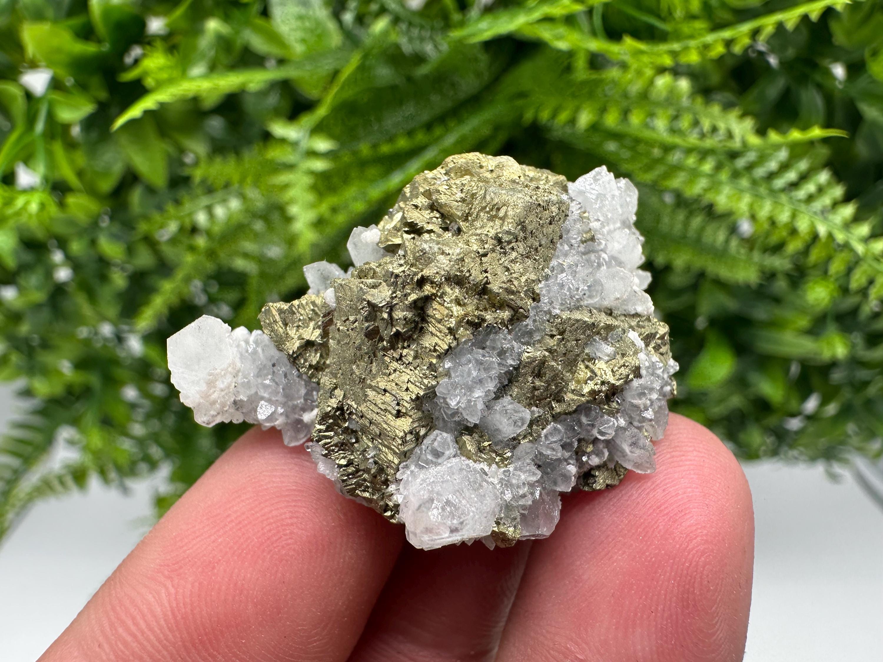 Chalcopyrite on Quartz Specimen, Krushev dol Mine, Bulgaria