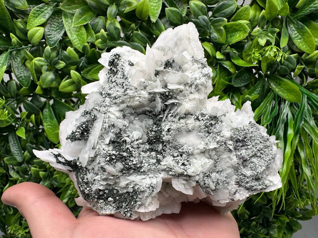 Mangano Calcite Wings on Chlorite Matrix, Bulgarian Mineral Specimen