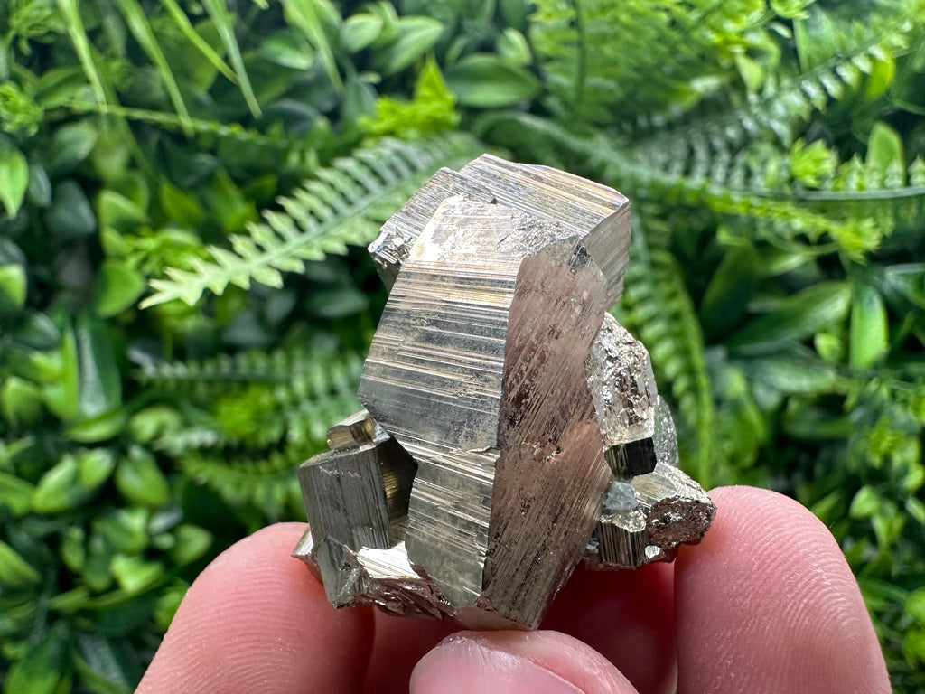 Rare Floating Pyrite Cluster - Borieva Mine - Home Decor Crystal