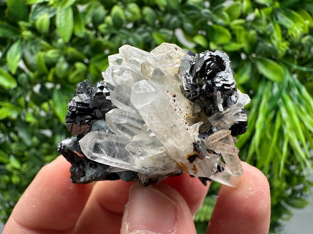 Wonderful Sphalerite Chalcopyrite on  Quartz whit Galena feom 9 th September mine,Bulgaria,natural,collection mineral specimen,gift