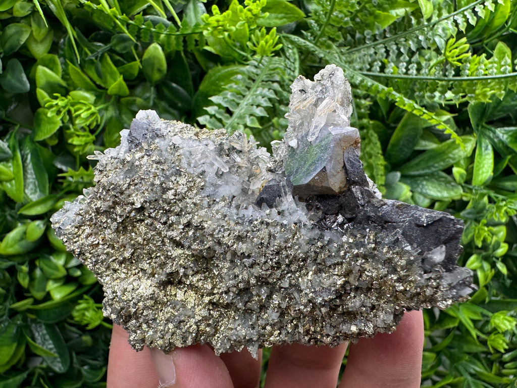 Galena with Quartz on Pyrite, Borieva Mine Mineral Specimen