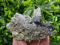 Galena with Quartz on Pyrite, Borieva Mine Mineral Specimen