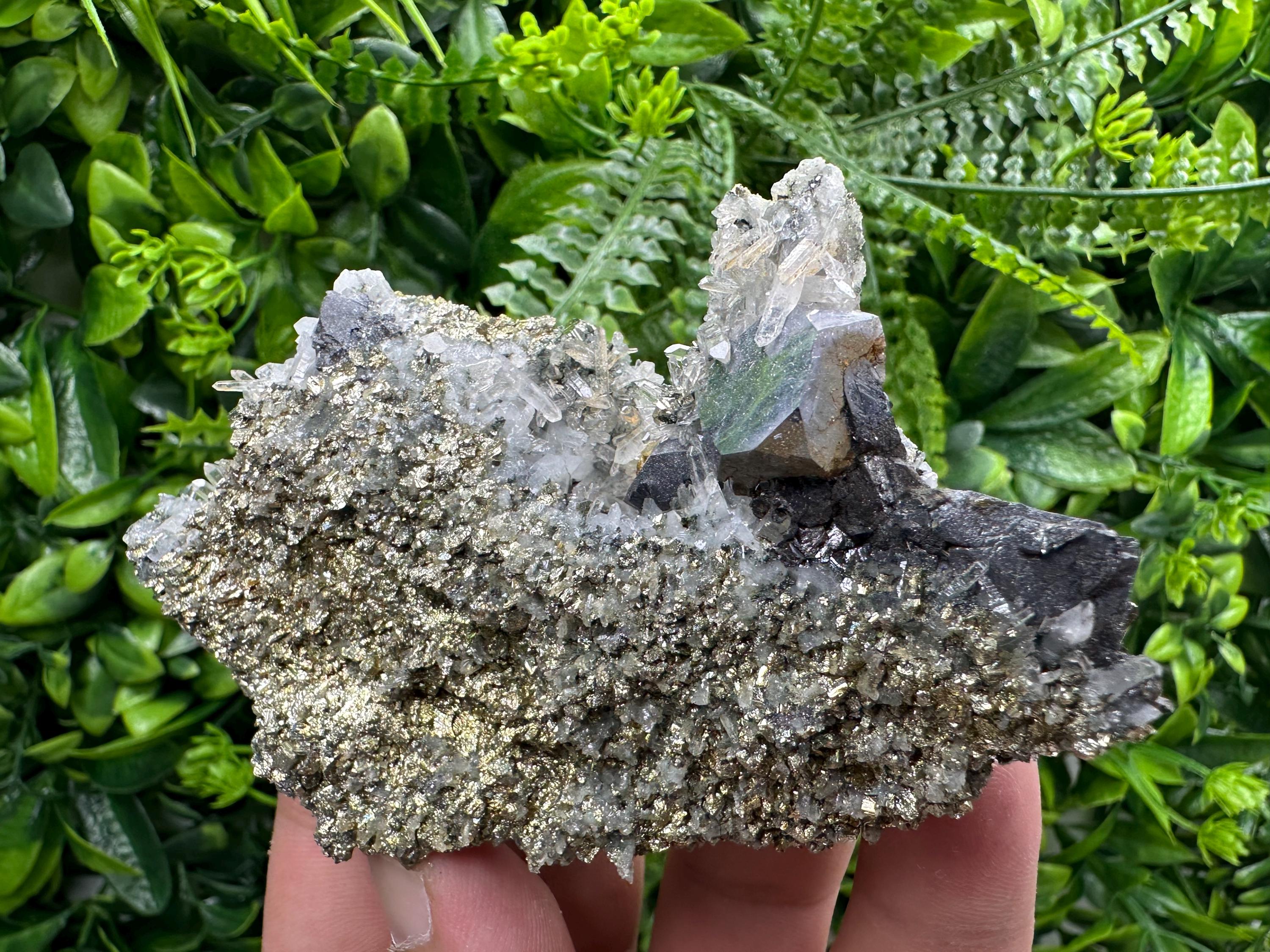 Galena with Quartz on Pyrite, Borieva Mine Mineral Specimen