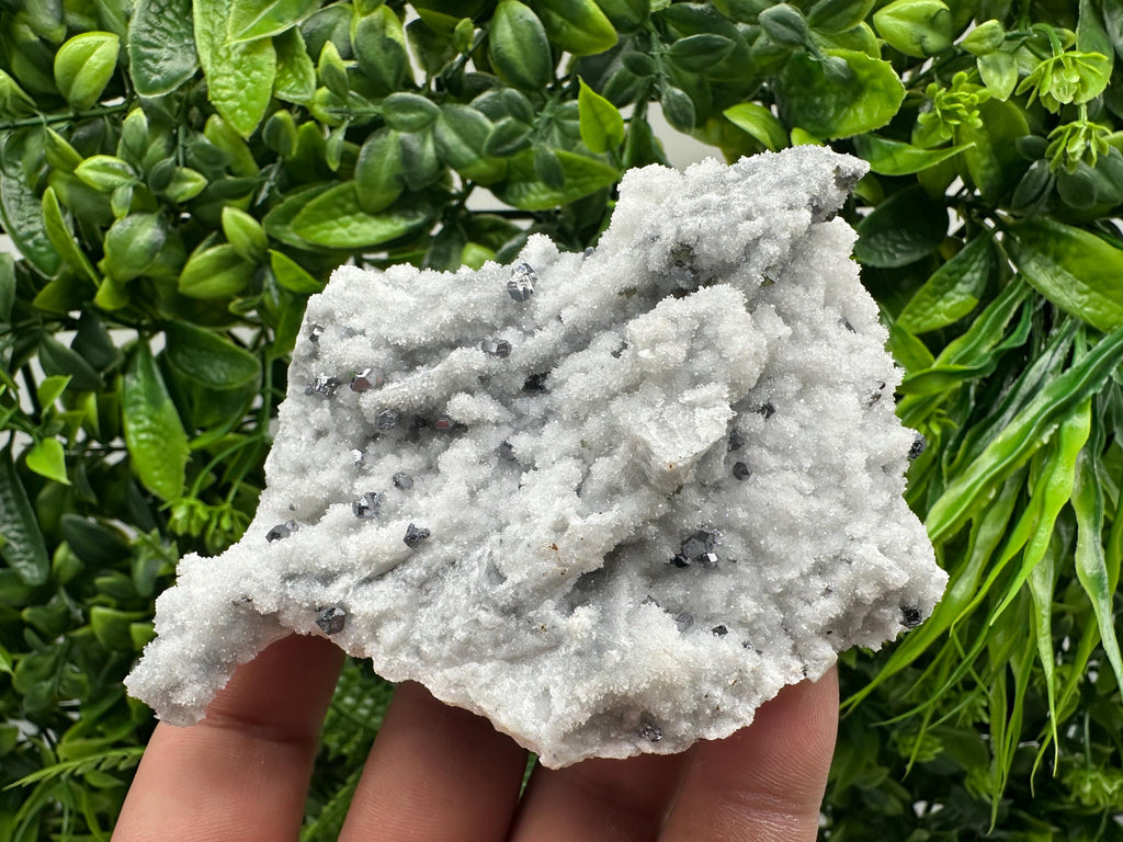 Mirror Galena on Chalcedony, Krushev dol Mine Mineral Specimen