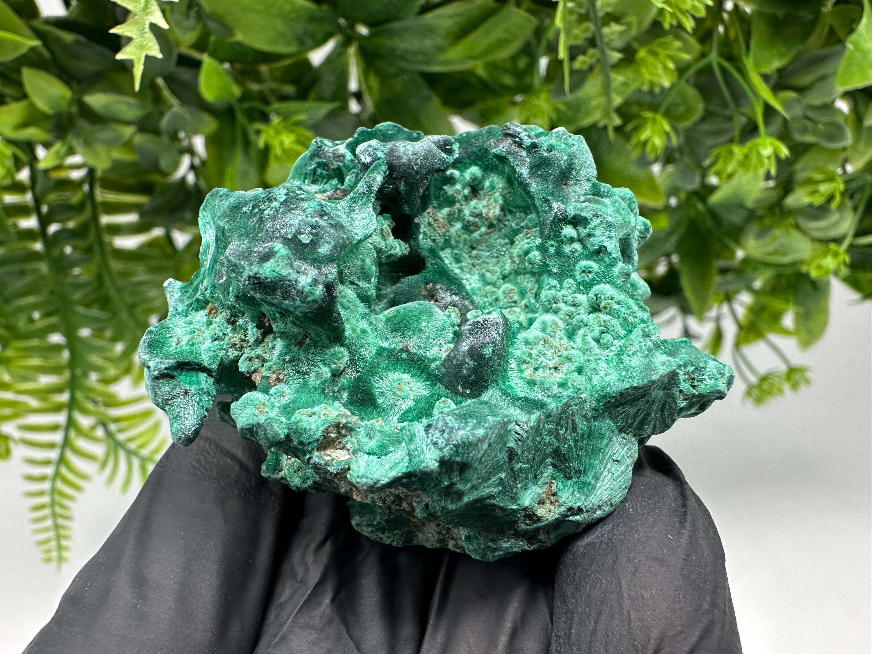 Malachite Crystal from Congo,Minerals,Crystals from Congo,Green Malachite, Malachite,Natural Malachite,Malachite Stone,Chakra, Specimens