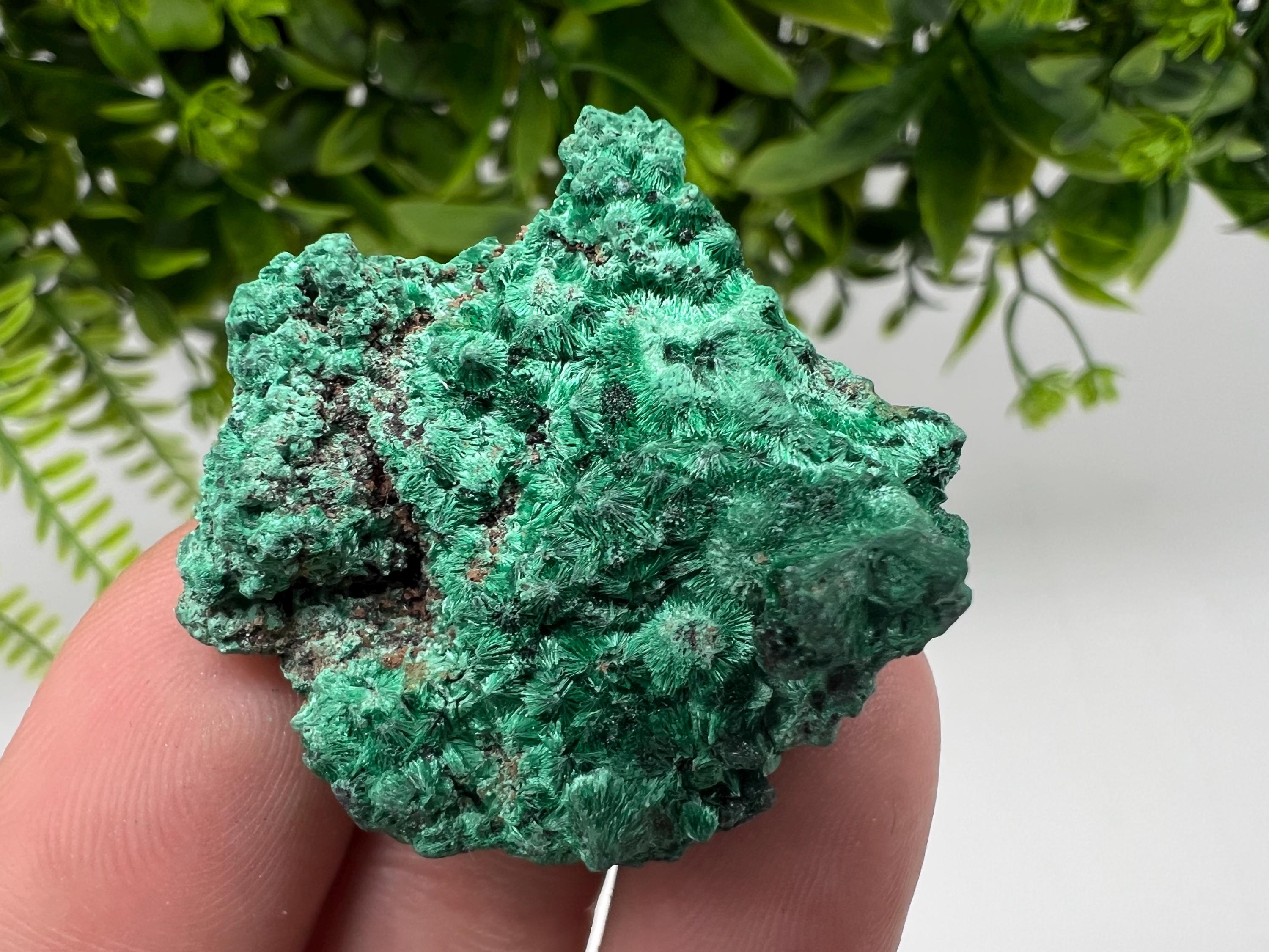 Malachite Crystal from Congo,Minerals,Crystals from Congo,Green Malachite, Malachite,Natural Malachite,Malachite Stone,Chakra, Specimens