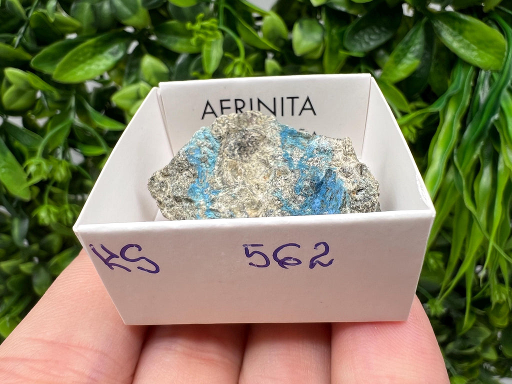 Rare Raw Aerinite Mineral Specimen: Collection Crystal from Lleida, Spain (3.5/3 CM)