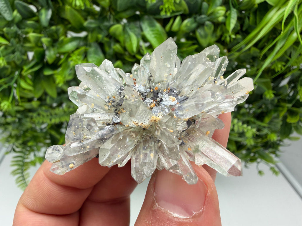Stunning Transparent Quartz,from Borieva mine,natural collection mineral specimen rare crystal,home decor crystal,quartz cluster,Quartz,gift