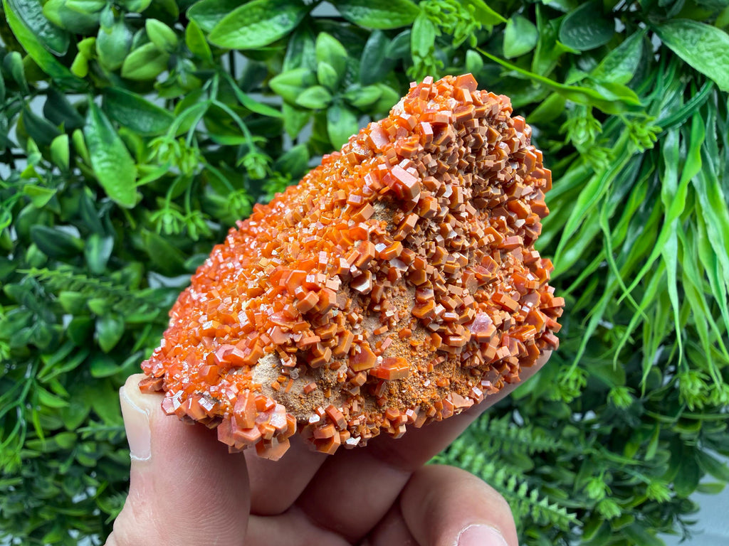 Red Vanadinite on Matrix from Marocco,crystal minerals Speciment cluster Vanadinite crystal Vanadinite Geology Vanadinite cluster minerals