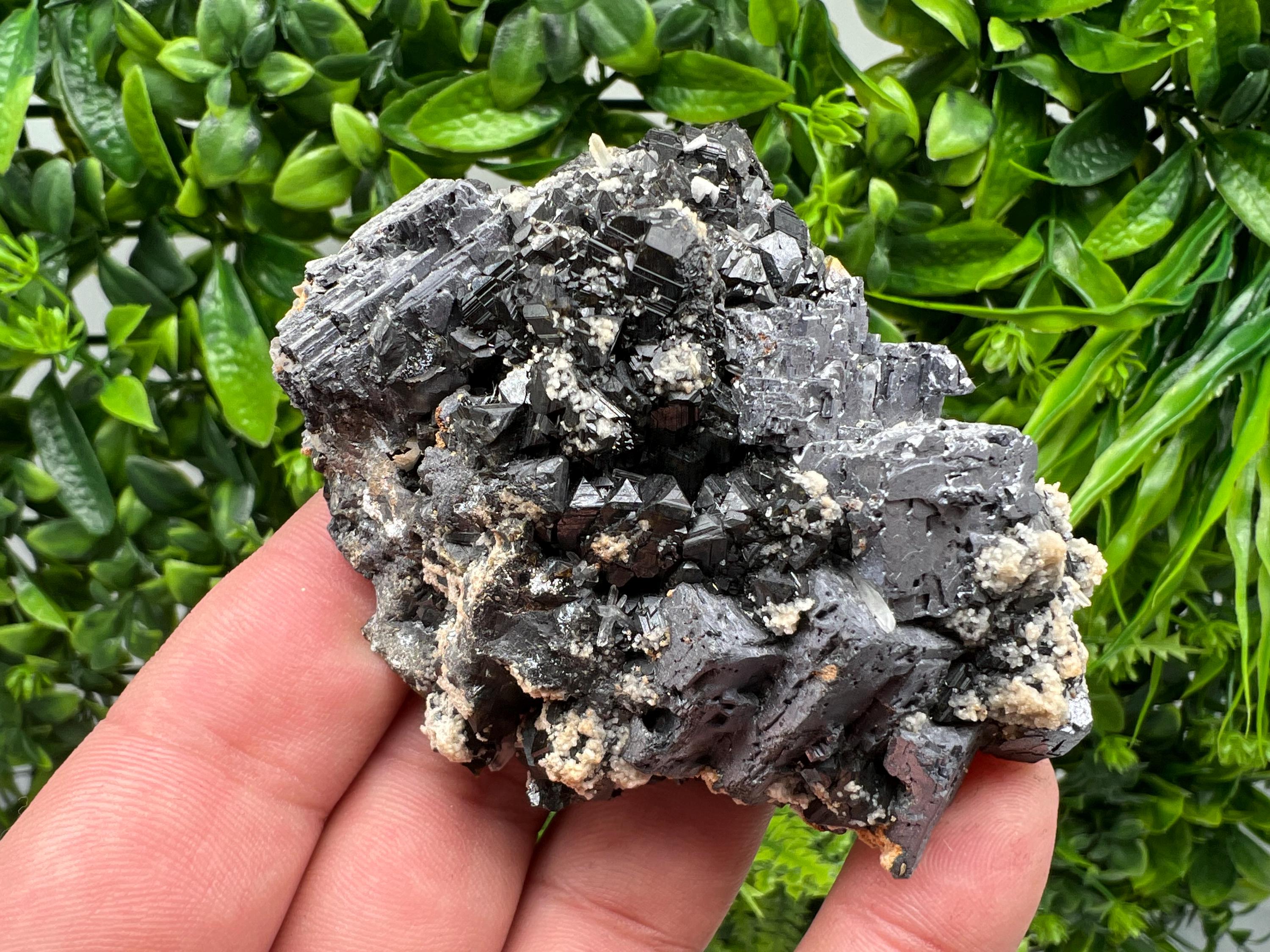 Skeleton Galena Cluster: Rare Morphology Crystal Mineral Souvenir