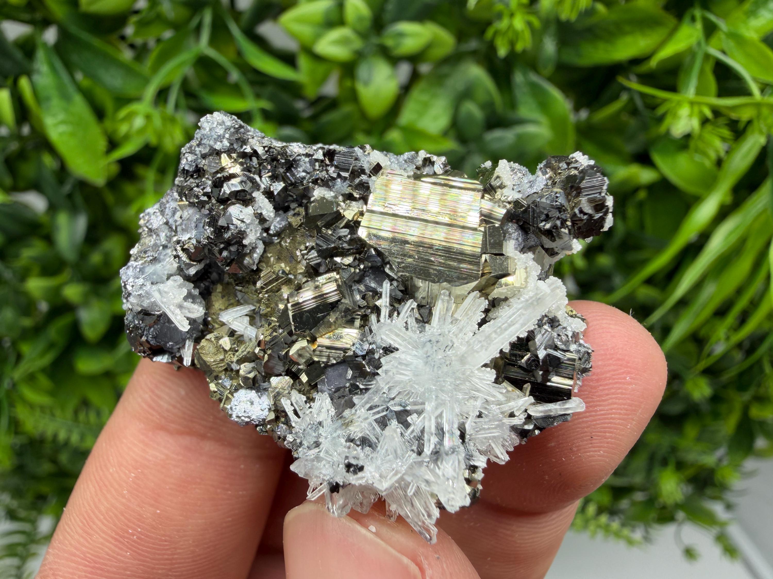 Pyrite Sphalerite Quartz  Mineral Specimen, Krushev dol Mine