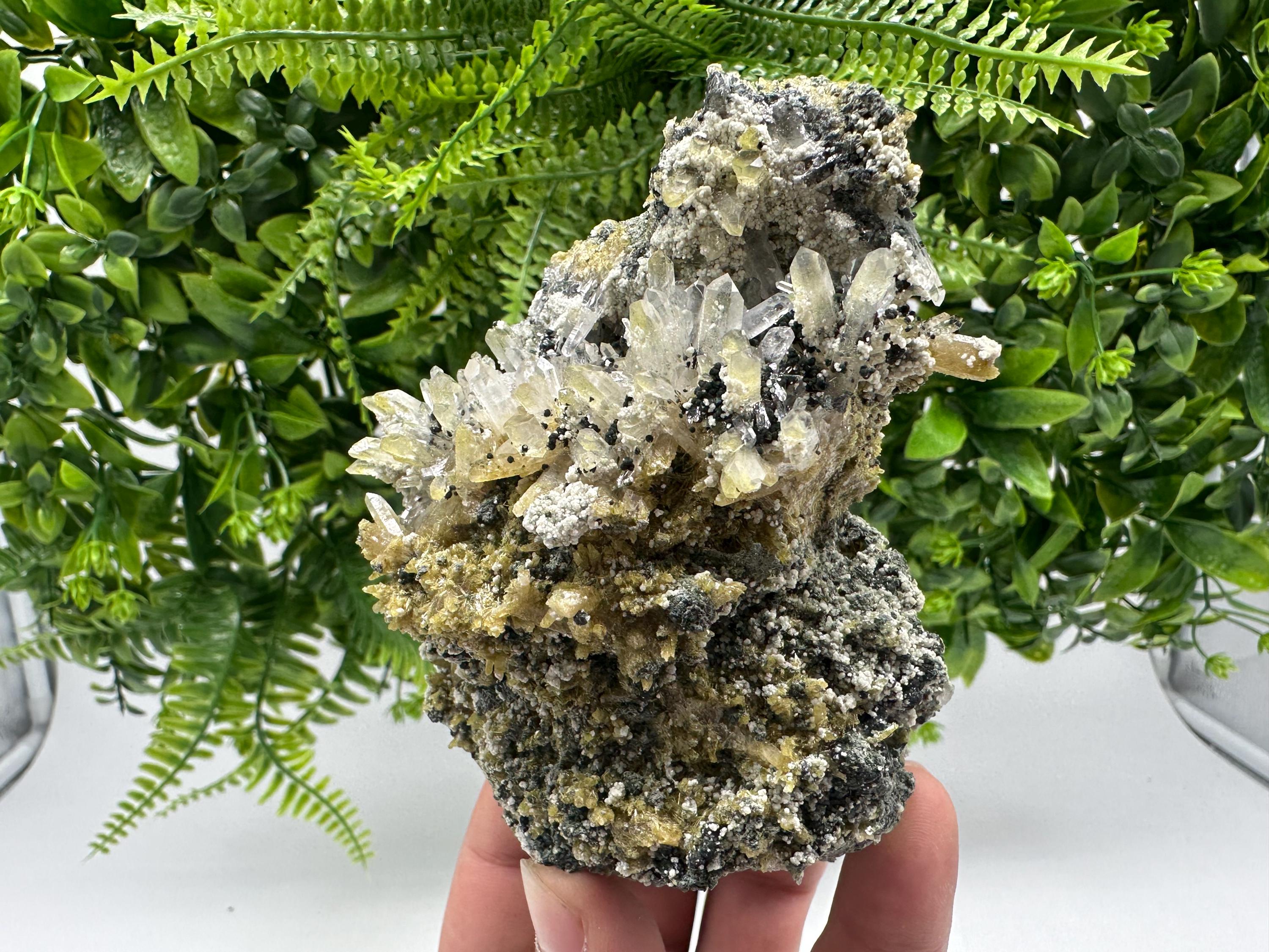 Chlorite Epidote Quartz Specimen: Borieva Mine, Bulgaria