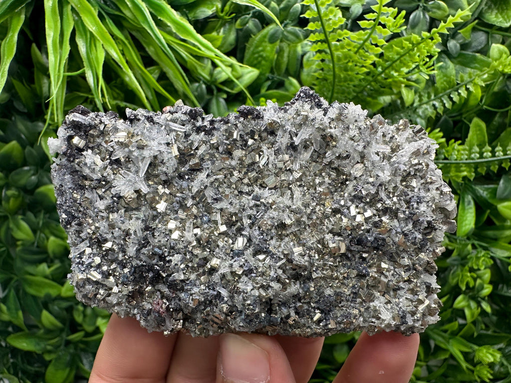 Galena Sphalerite Pyrite on Quartz, Borieva Mine, Bulgaria