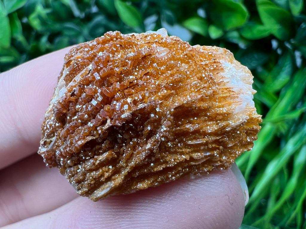 Red Vanadinite on Barite from Marocco,crystal minerals Speciment cluster Vanadinite crystal Vanadinite Geology Vanadinite cluster minerals