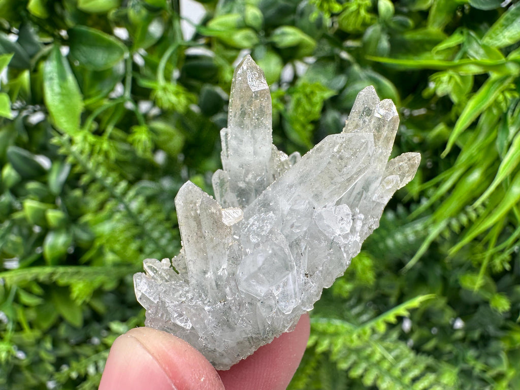 Quartz Rhodochrosite Cluster, Djurcovo Mine Mineral Specimen