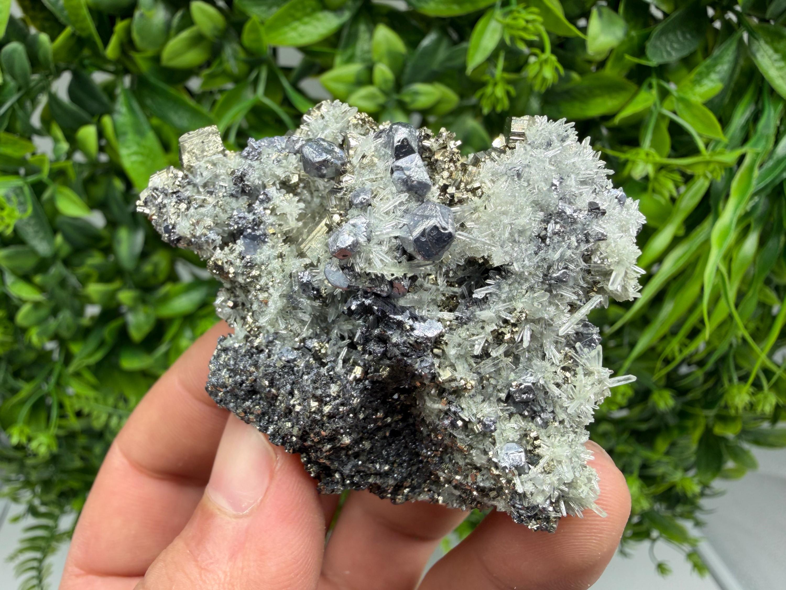 Pyrite Sphalerite Quartz  Mineral Specimen, Krushev dol Mine