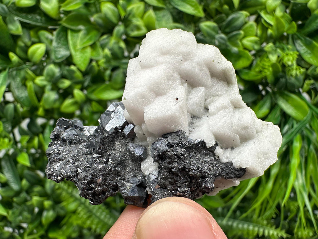 Galena Sphalerite Mineral Specimen: Calcite, Borieva Mine, Bulgaria
